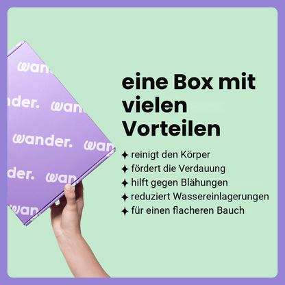 Box Flacher Bauch · DE