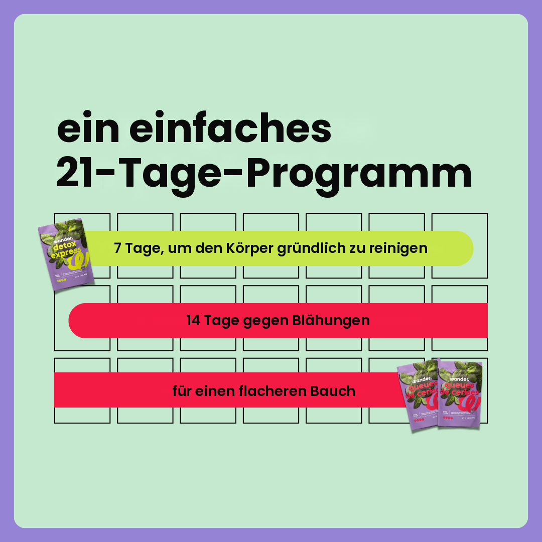 Box Flacher Bauch · DE