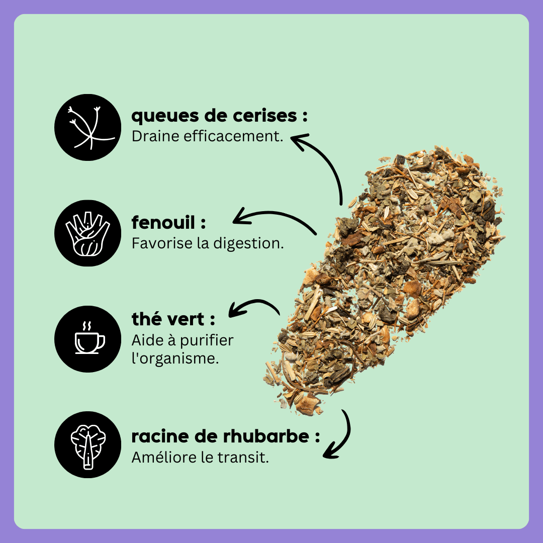 Mini Detox Express - Menthe