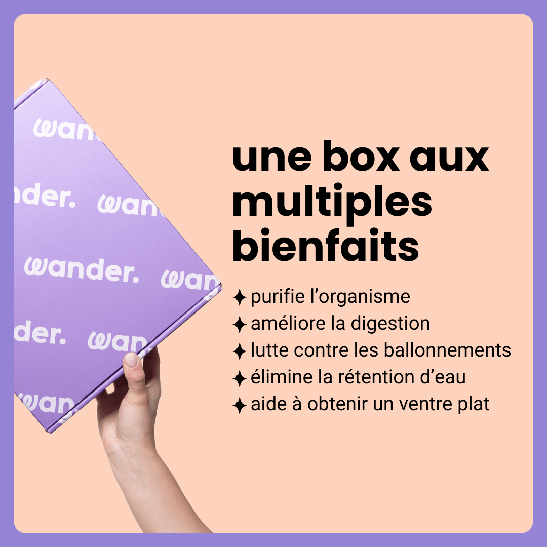 box ventre plat