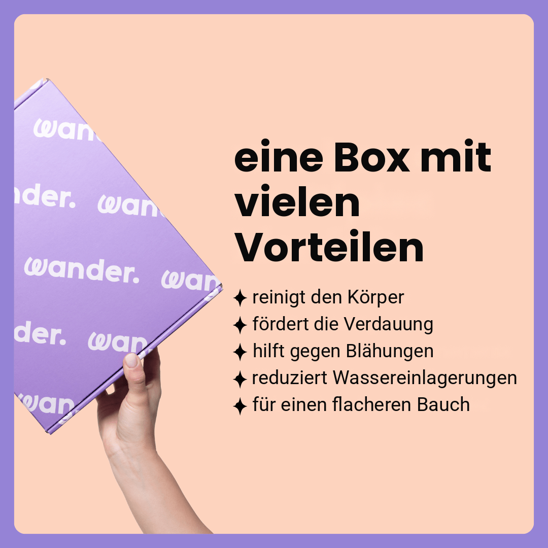 Box Flacher Bauch · DE