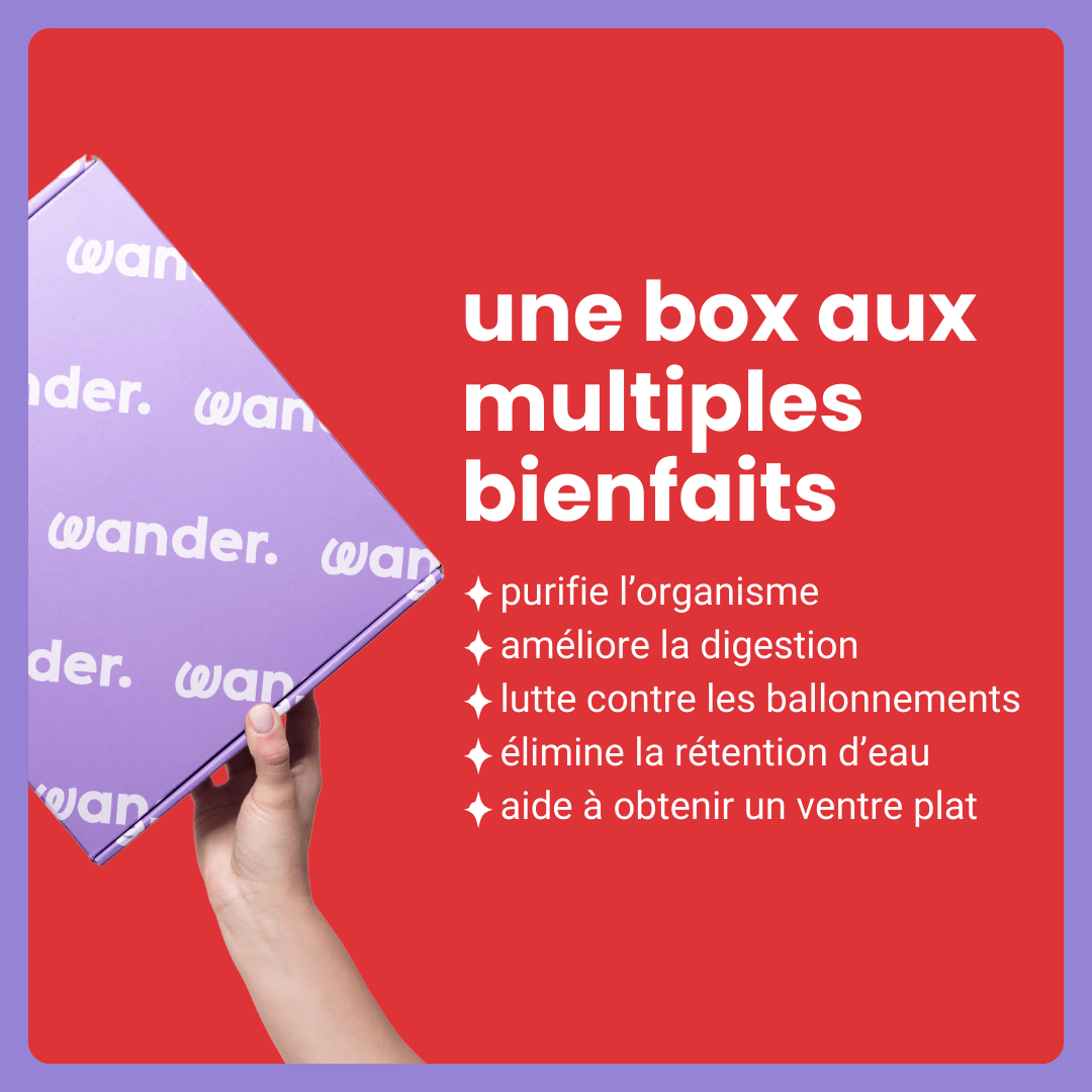 box ventre plat